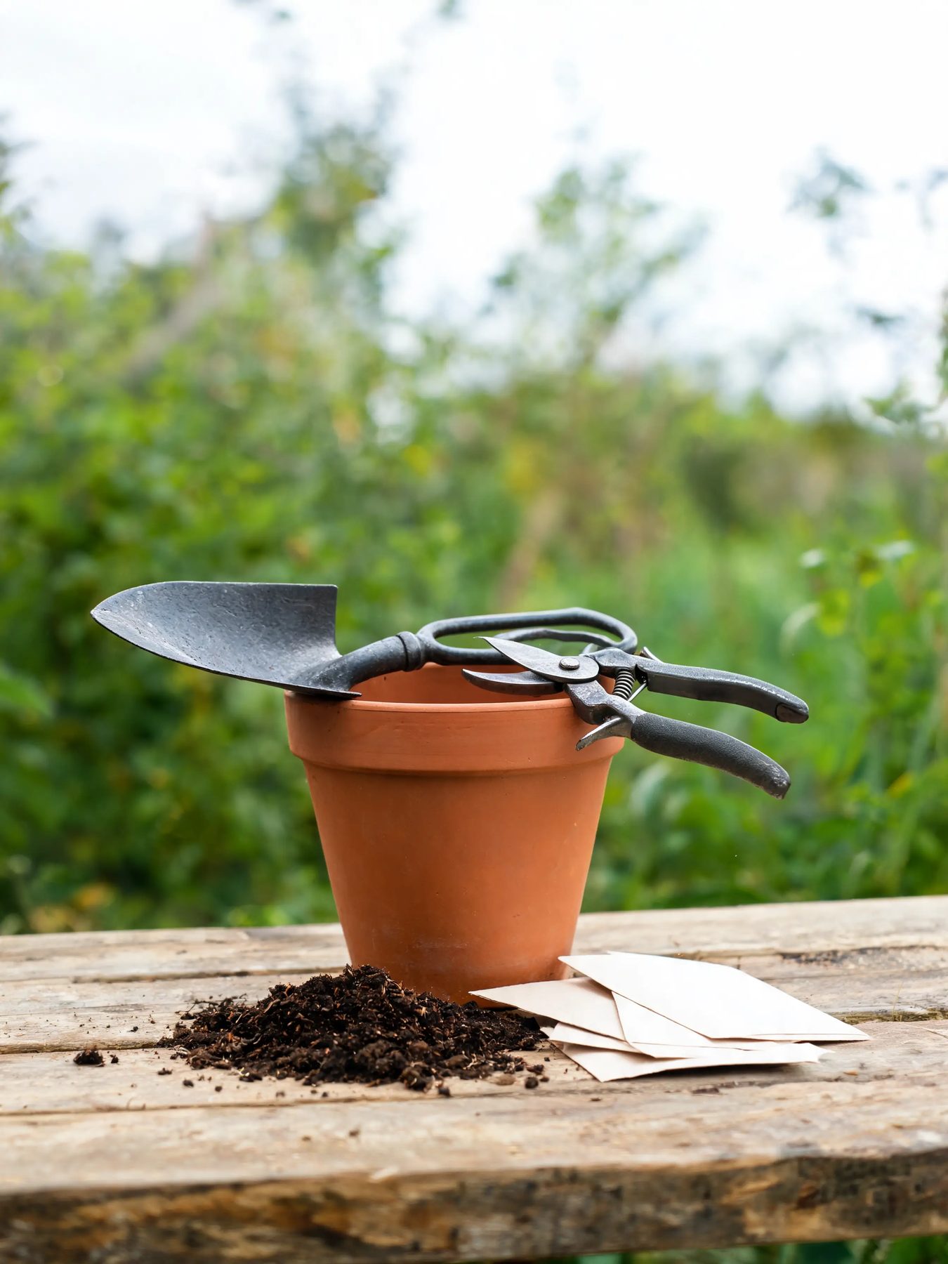 Forged trowel and secateurs on a terracotta pot beside scattered soil and seed packets